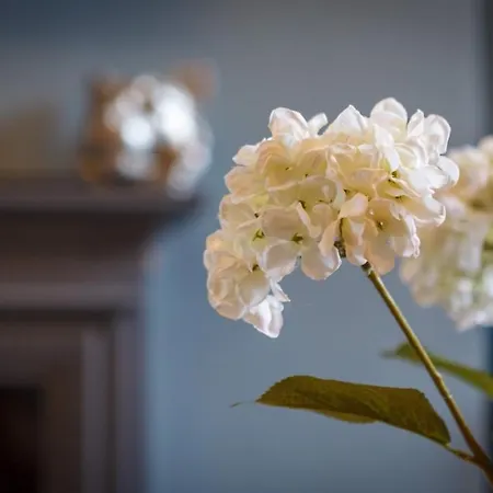 بيت للعطل Westbourne House سكرابورو