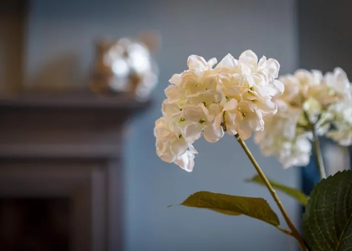 別荘 Westbourne House スカーバラ